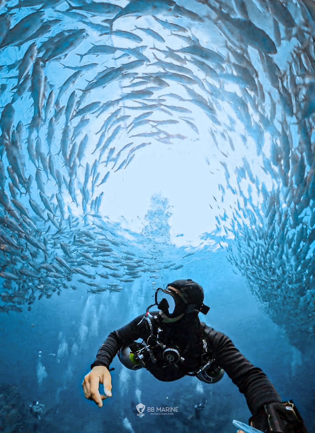 Open Water Diver Course